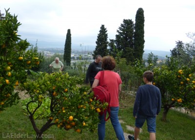 Family amongst their oranges and garden.